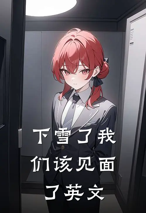 下雪了我们该见面了英文
