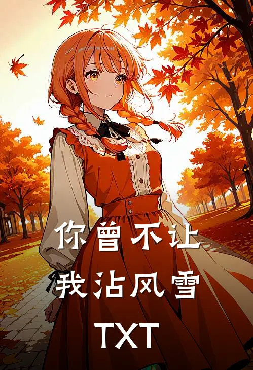 你曾不让我沾风雪TXT